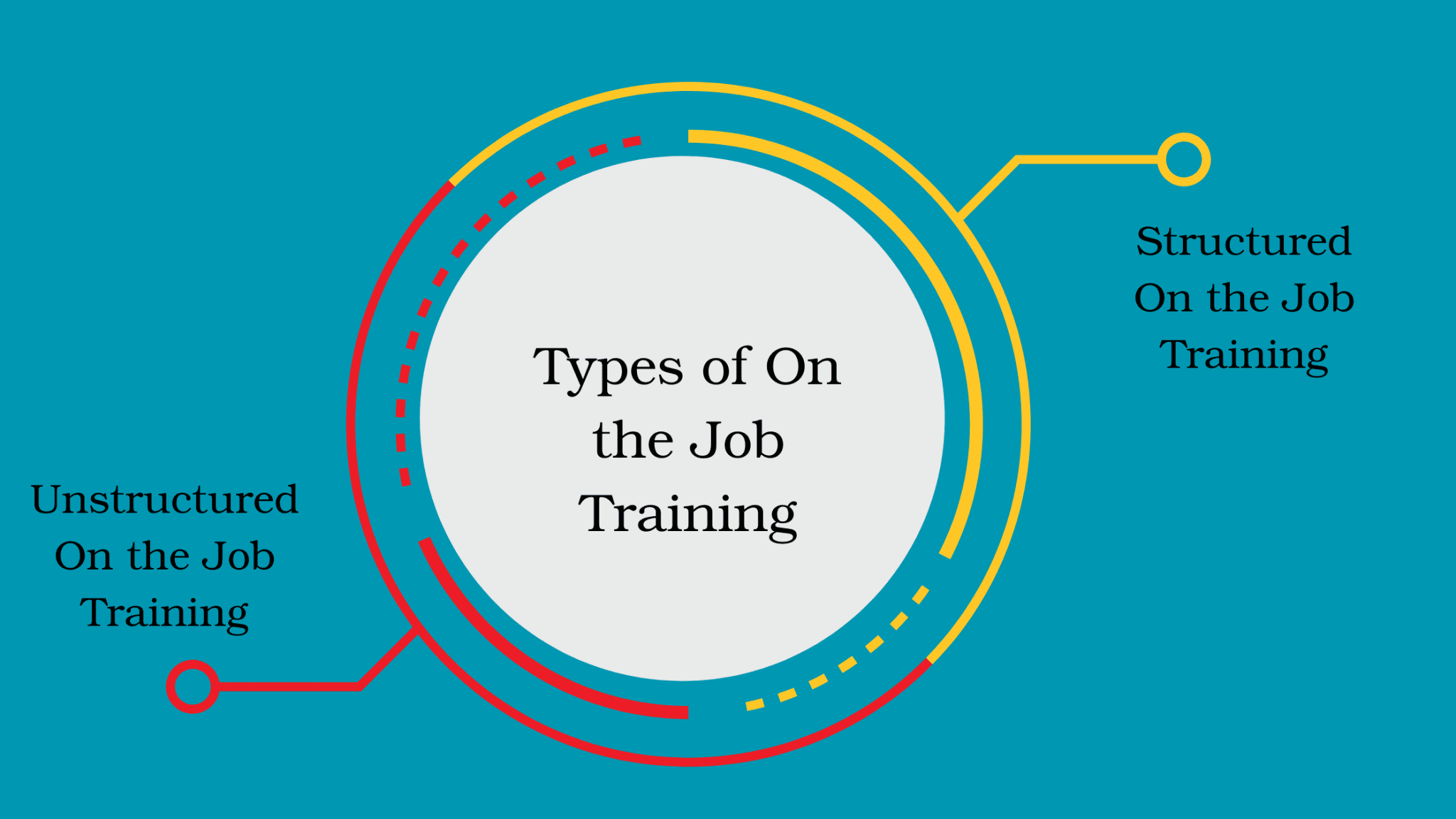 vet-blog-19-2048x1152