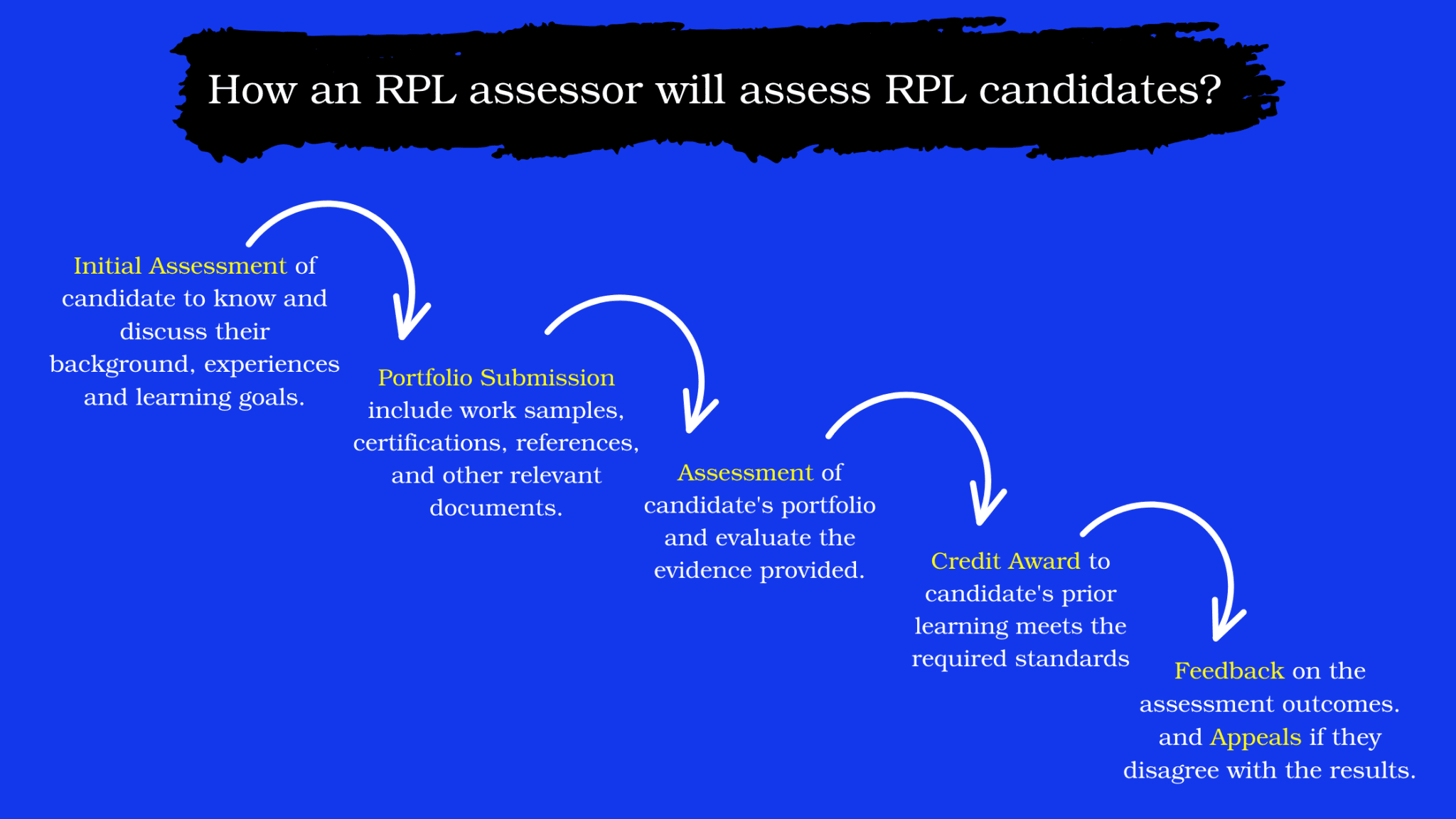 vet-blog-27-2048x1152