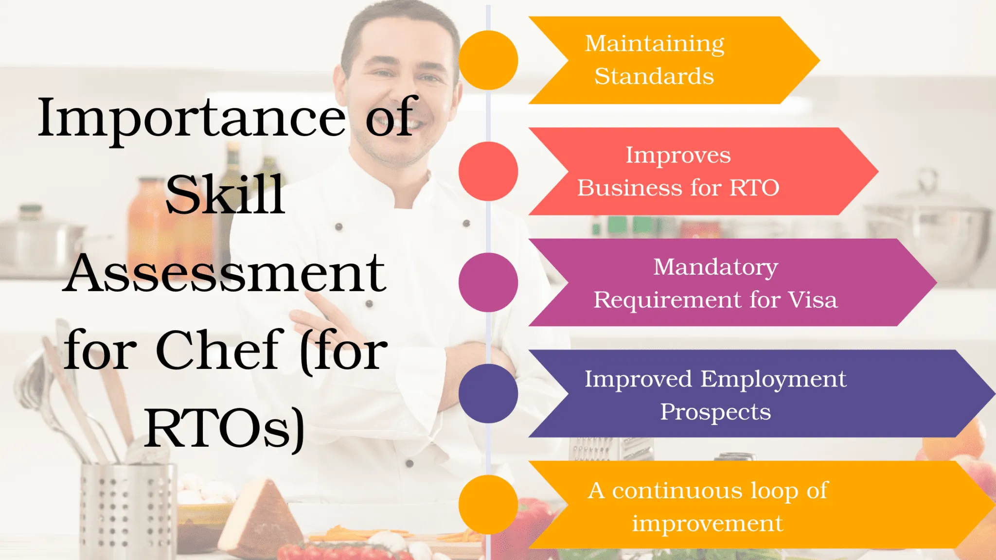 Vet-Blog-30-2048x1152